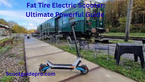 Fat Tire Electric Scooter