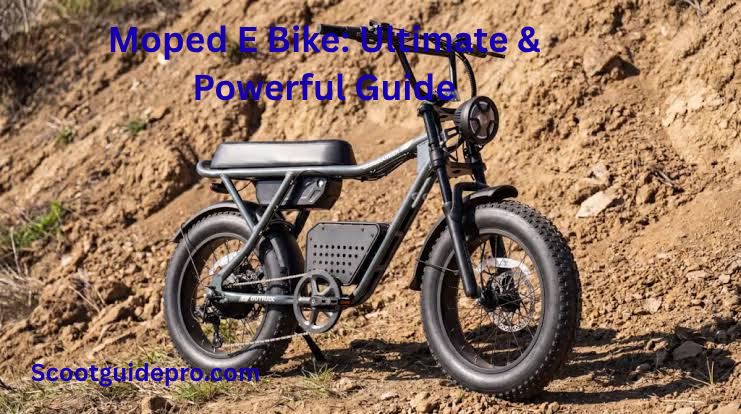 Moped E Bike