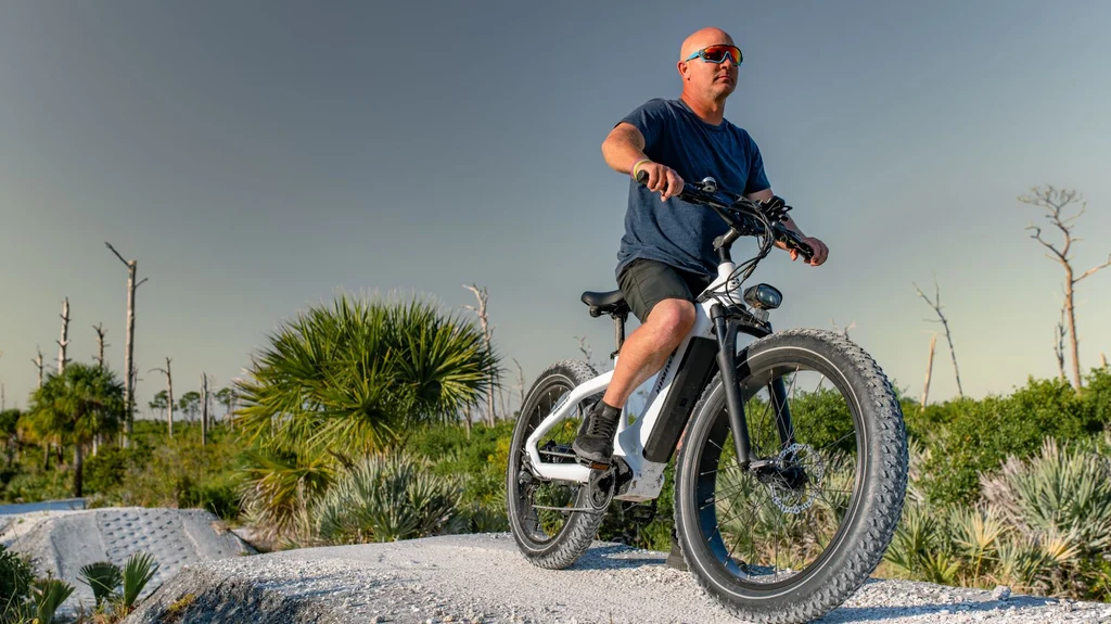 Moped E Bike