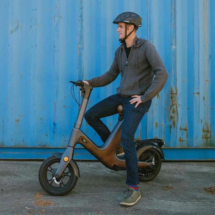 Moped E Bike