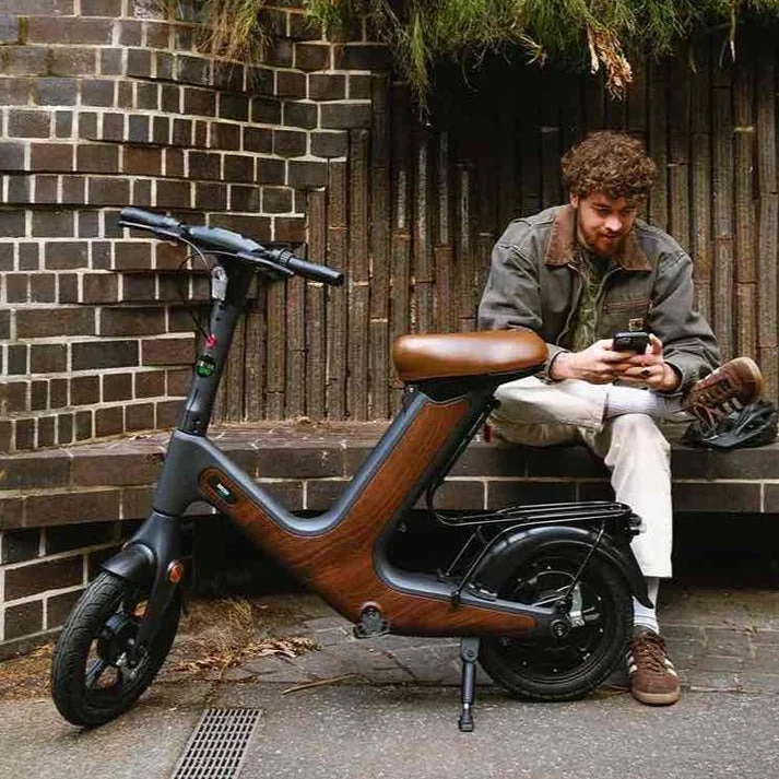 Moped E Bike