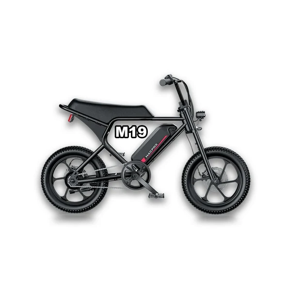 Electric Scooter Repair
